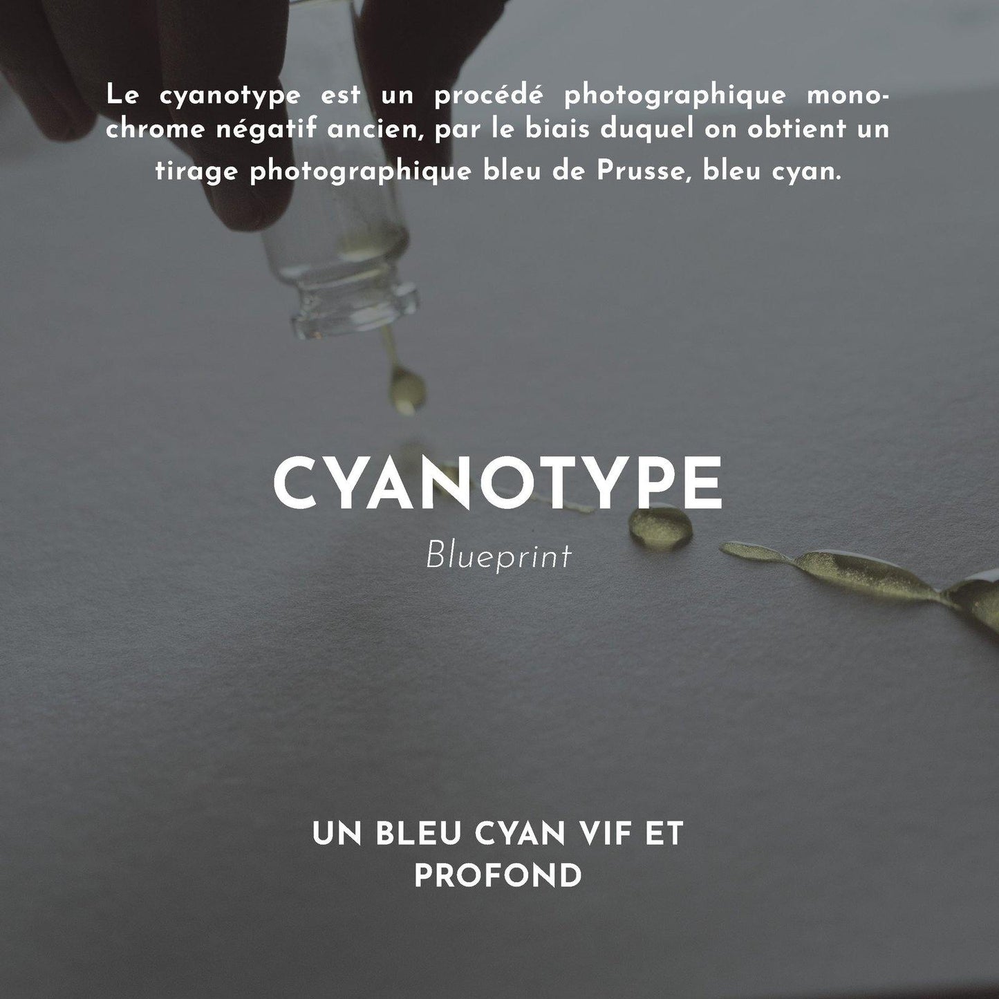 CYANOTYPE lepictorialist.myshopify.com Procédé monochrome