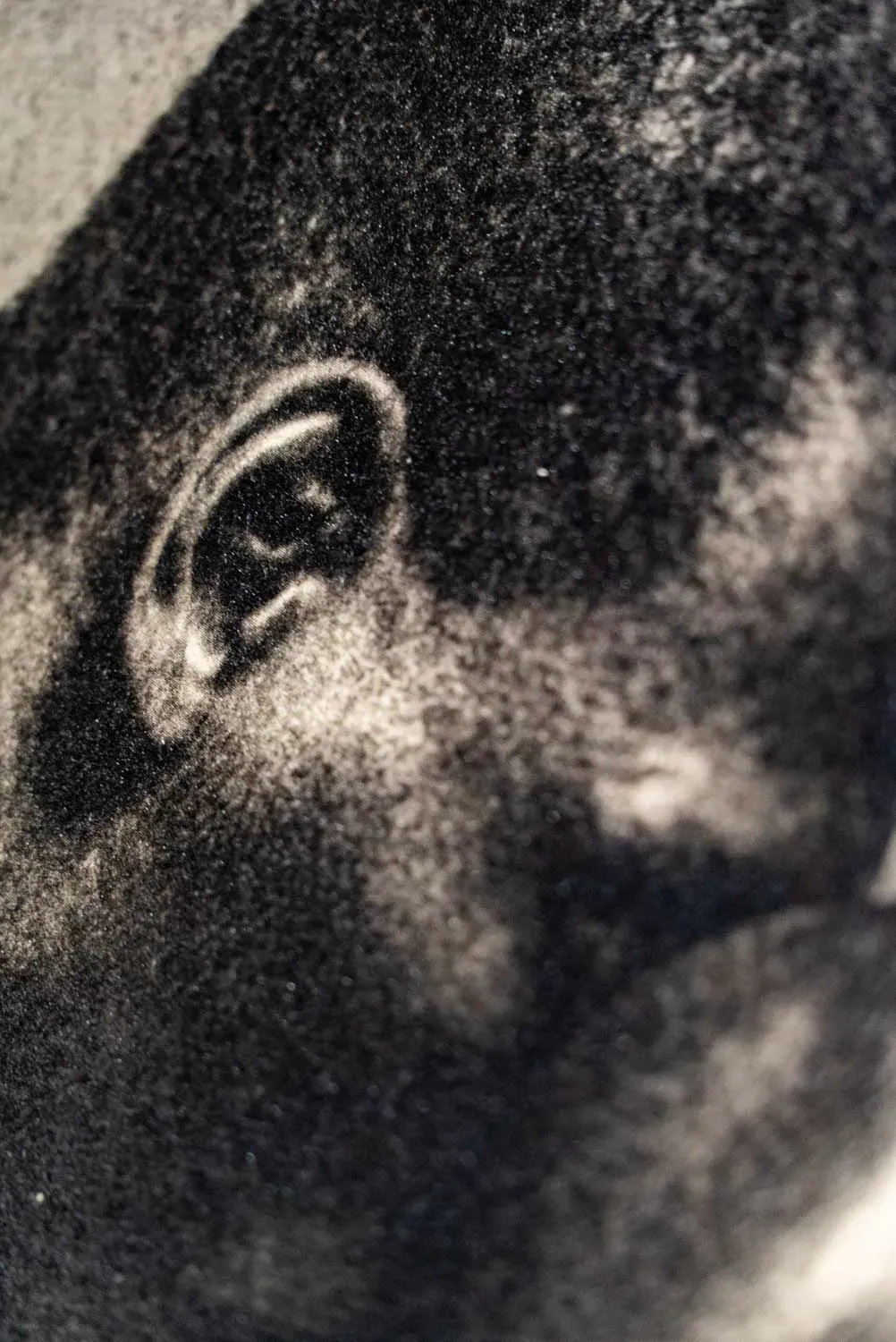 Bromoil — détail macro