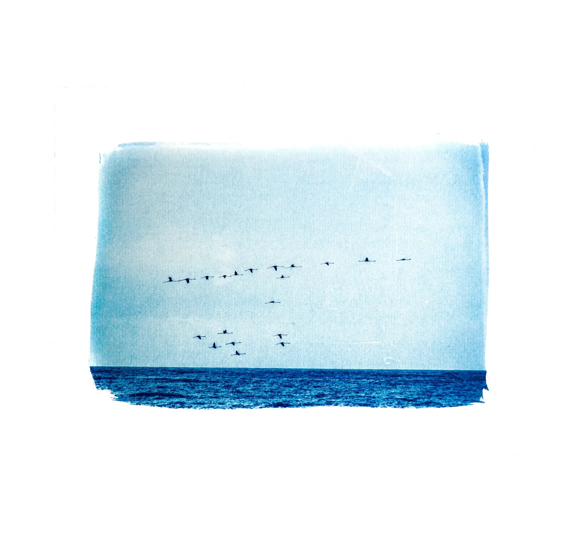 Cyanotype — mise en situation