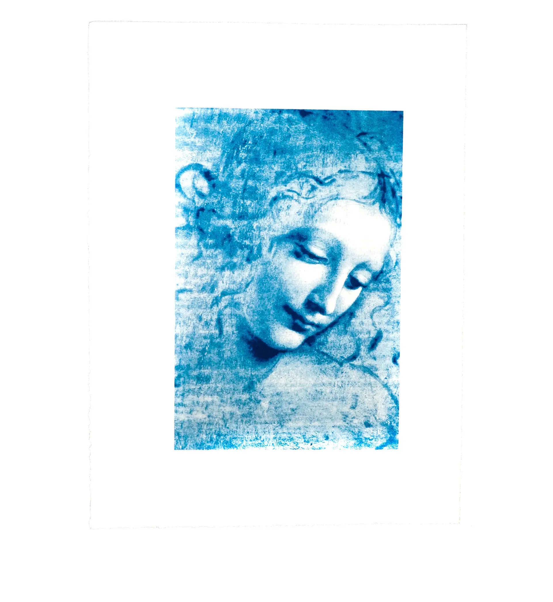 Cyanotype — mise en situation