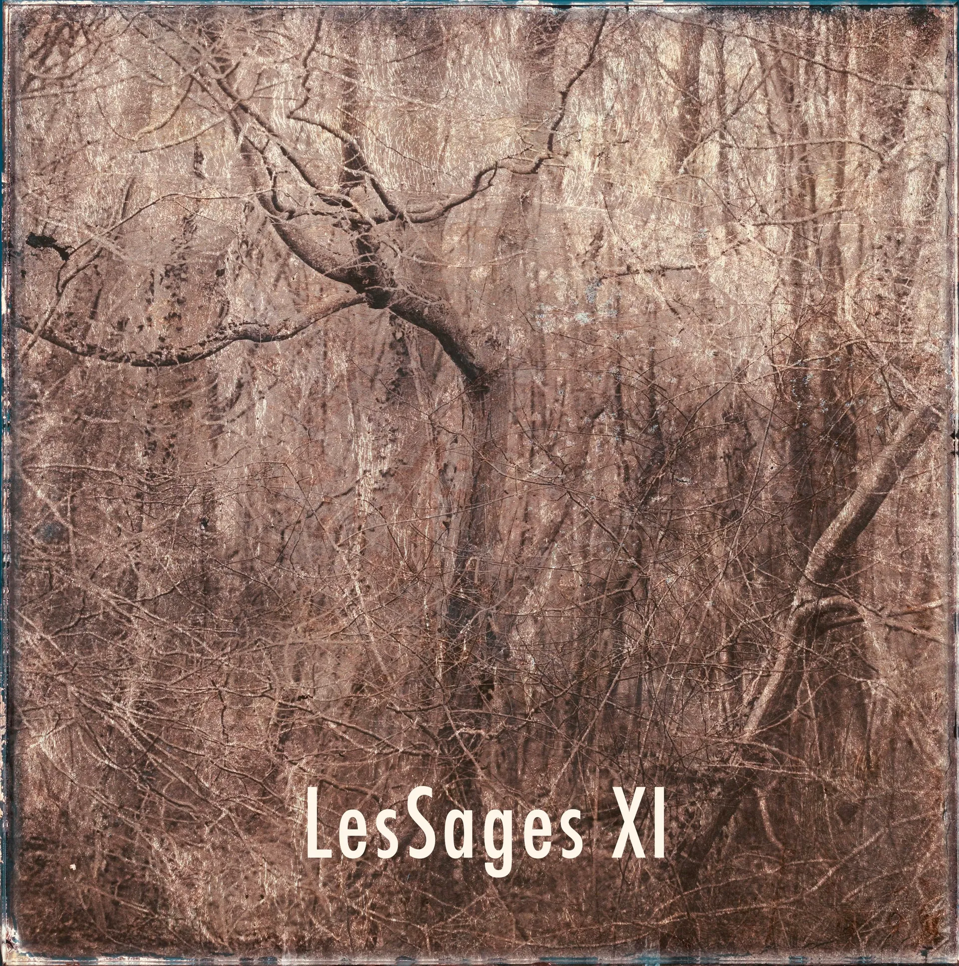 Les Sages XI — Denis Félix