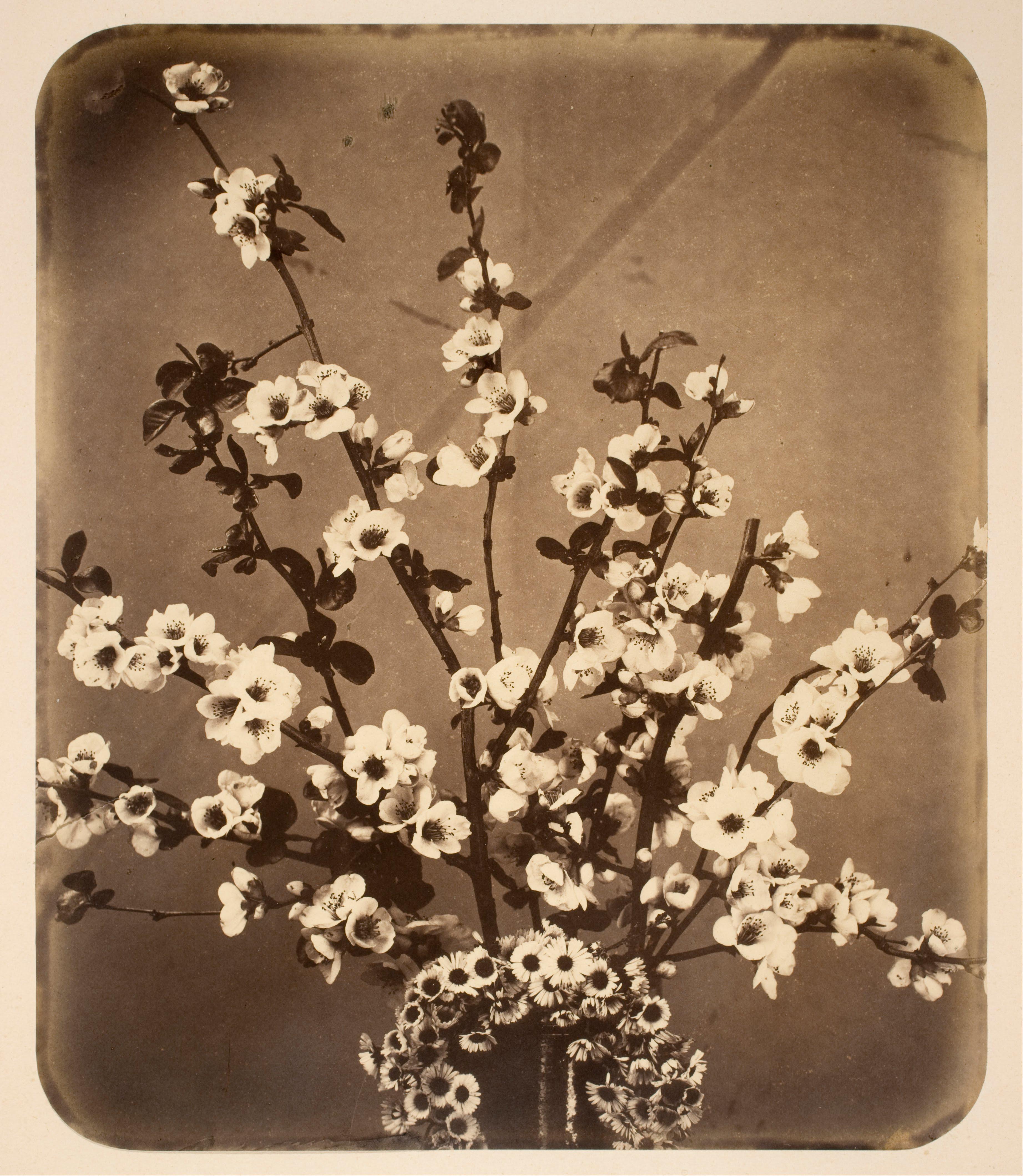 Nature morte florale — Adolphe Braun