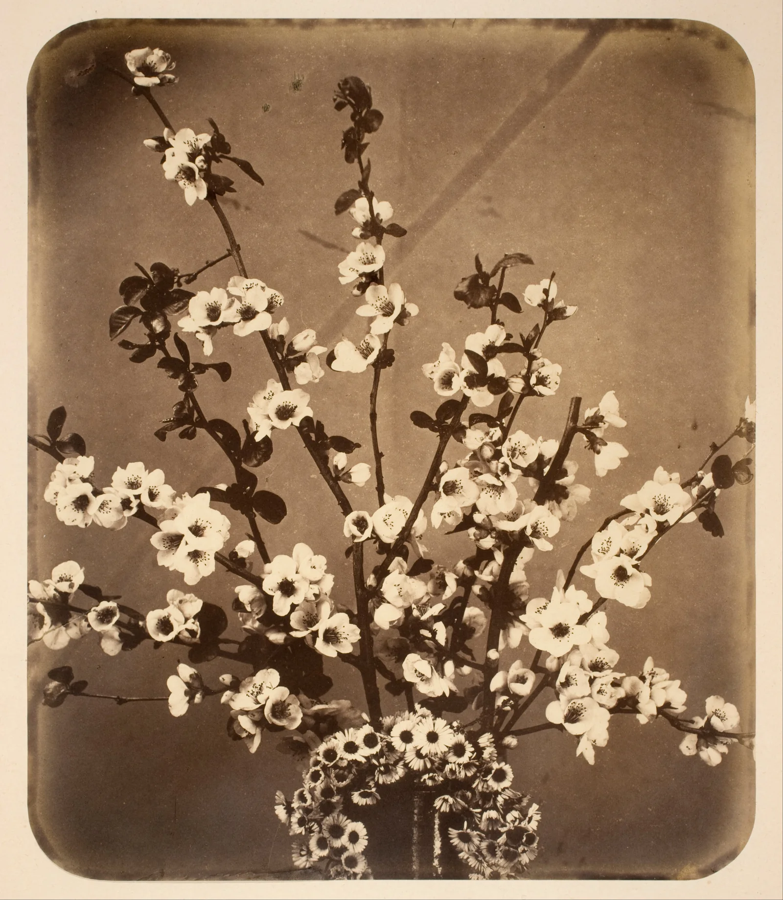 Nature morte florale — Adolphe Braun