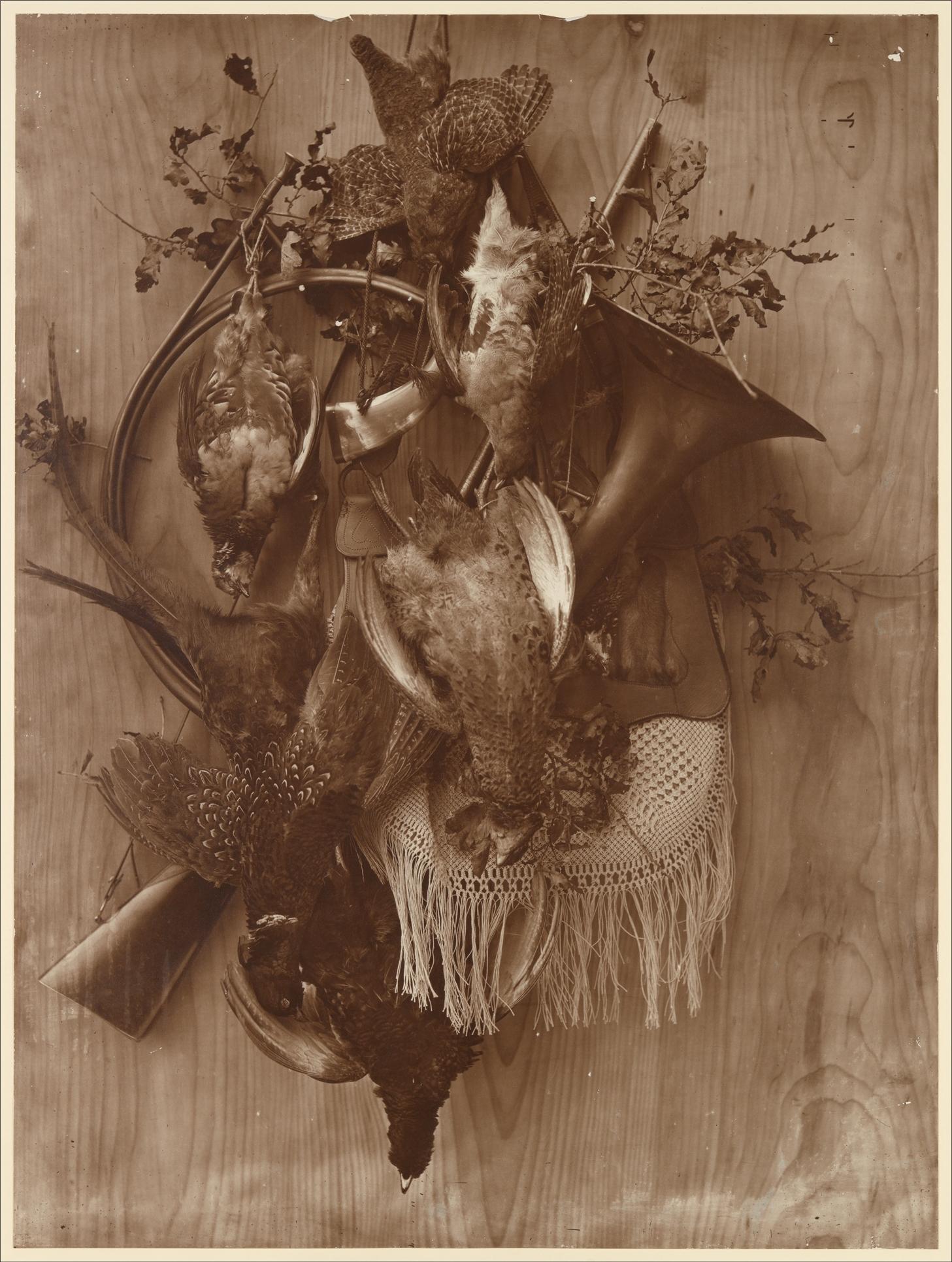 Faisan et tétras — Adolphe Braun