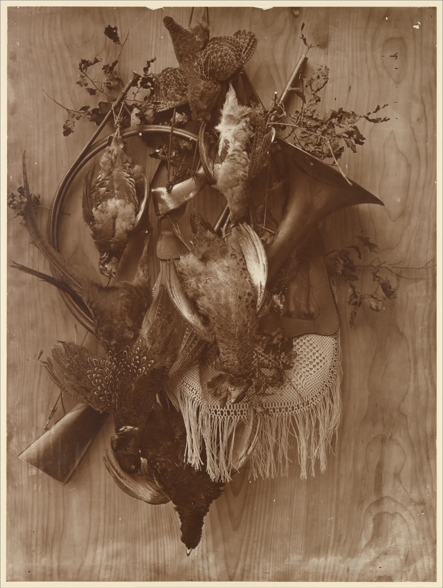 Faisan et tétras — Adolphe Braun