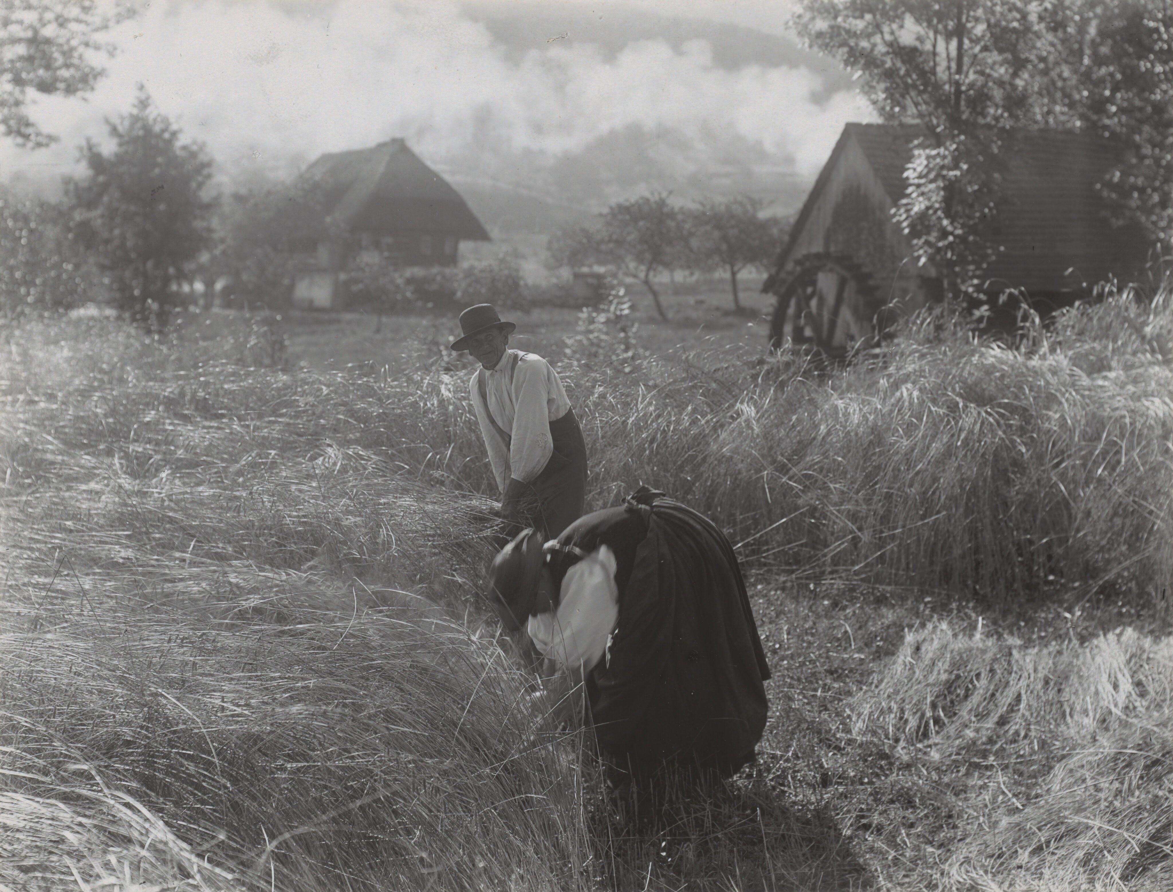 Harvesting, Black Forest — Alfred Stieglitz