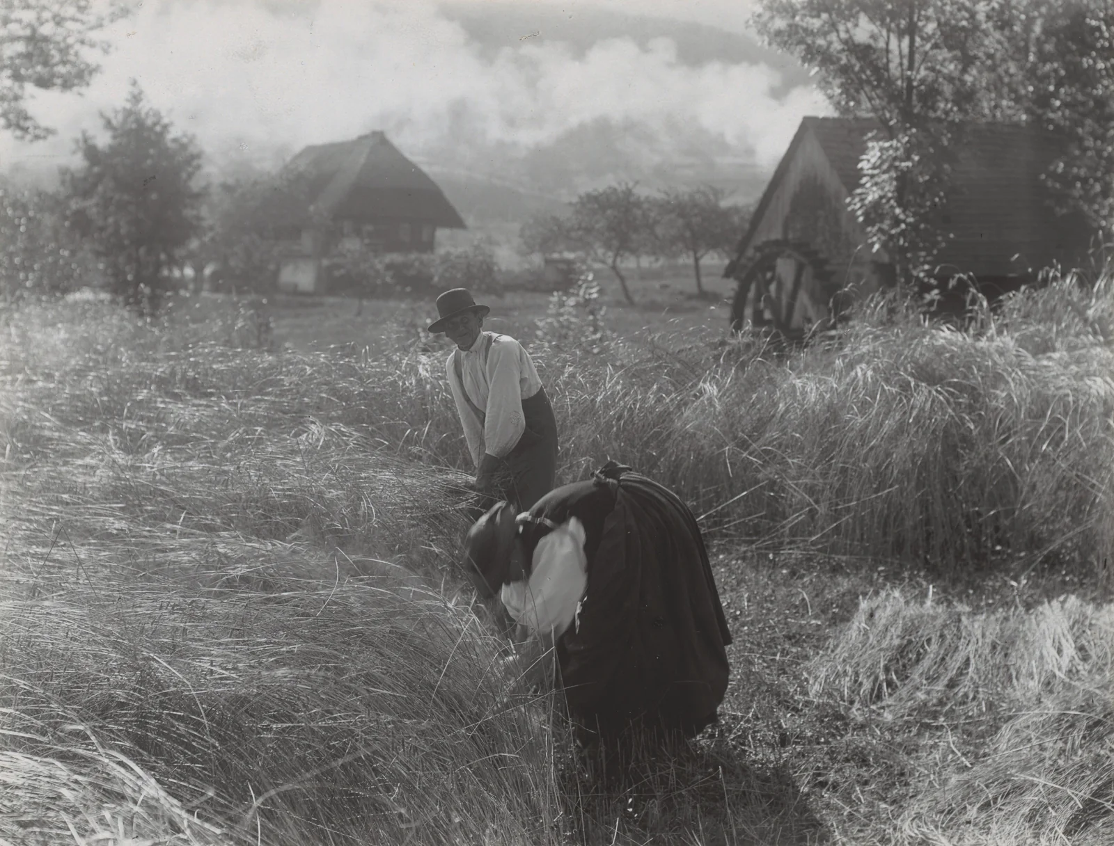 Harvesting, Black Forest — Alfred Stieglitz