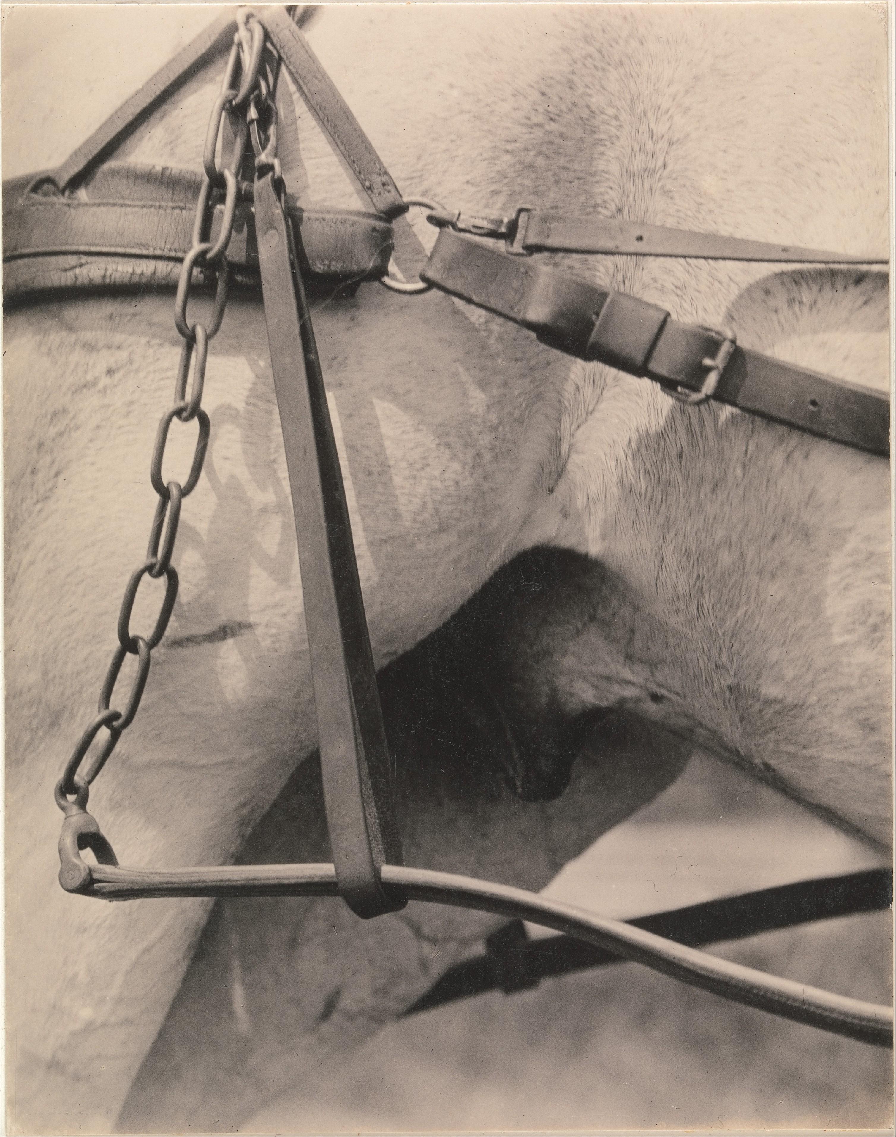 Amérique spirituelle — Alfred Stieglitz
