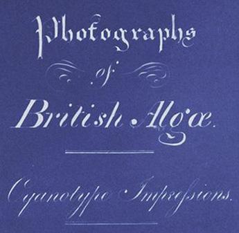 Page de titre — Photographs of British Algae: Cyanotype Impressions — Anna Atkins
