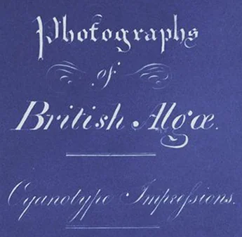 Page de titre — Photographs of British Algae: Cyanotype Impressions — Anna Atkins