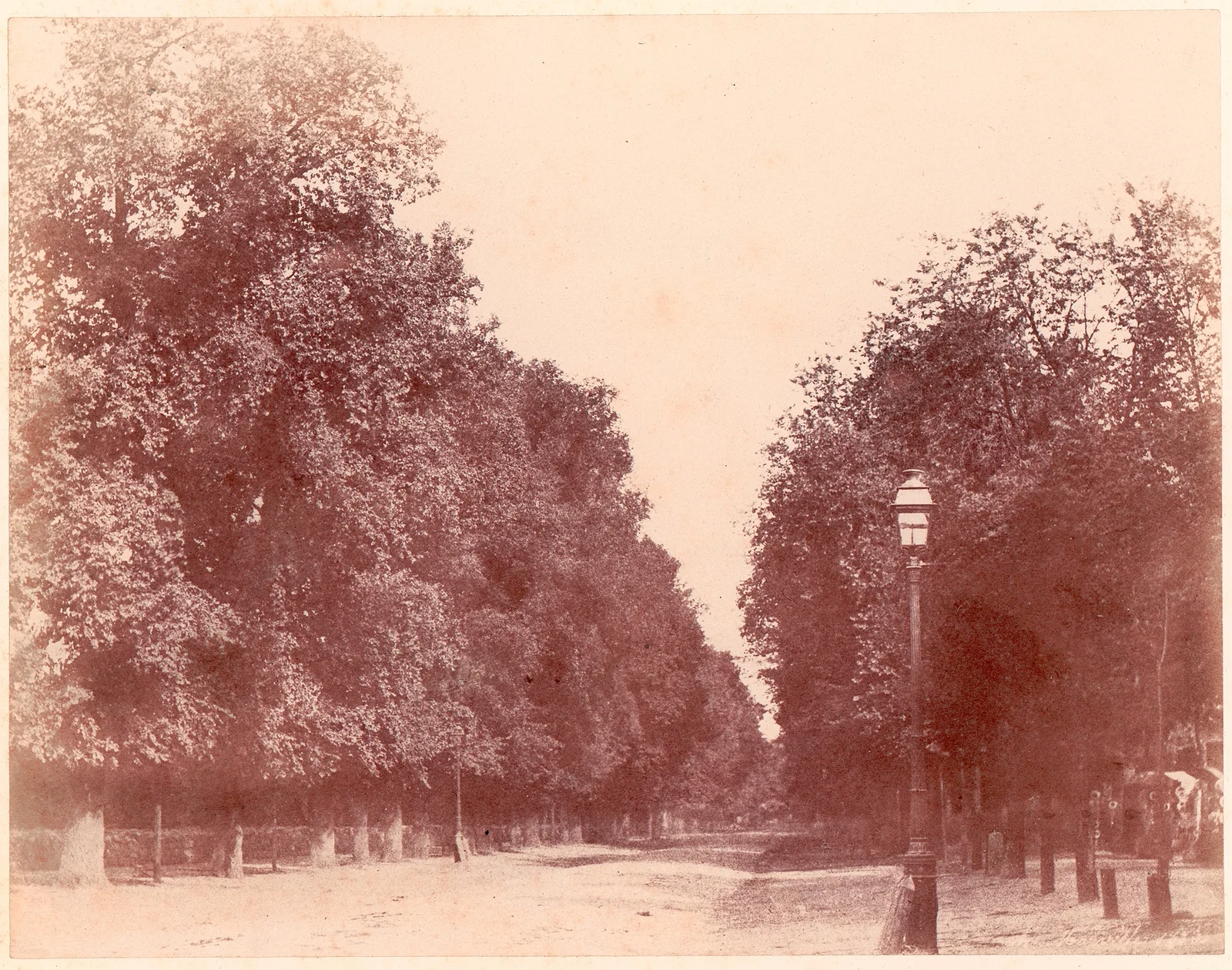 Tree-lined Path — Charles Marville