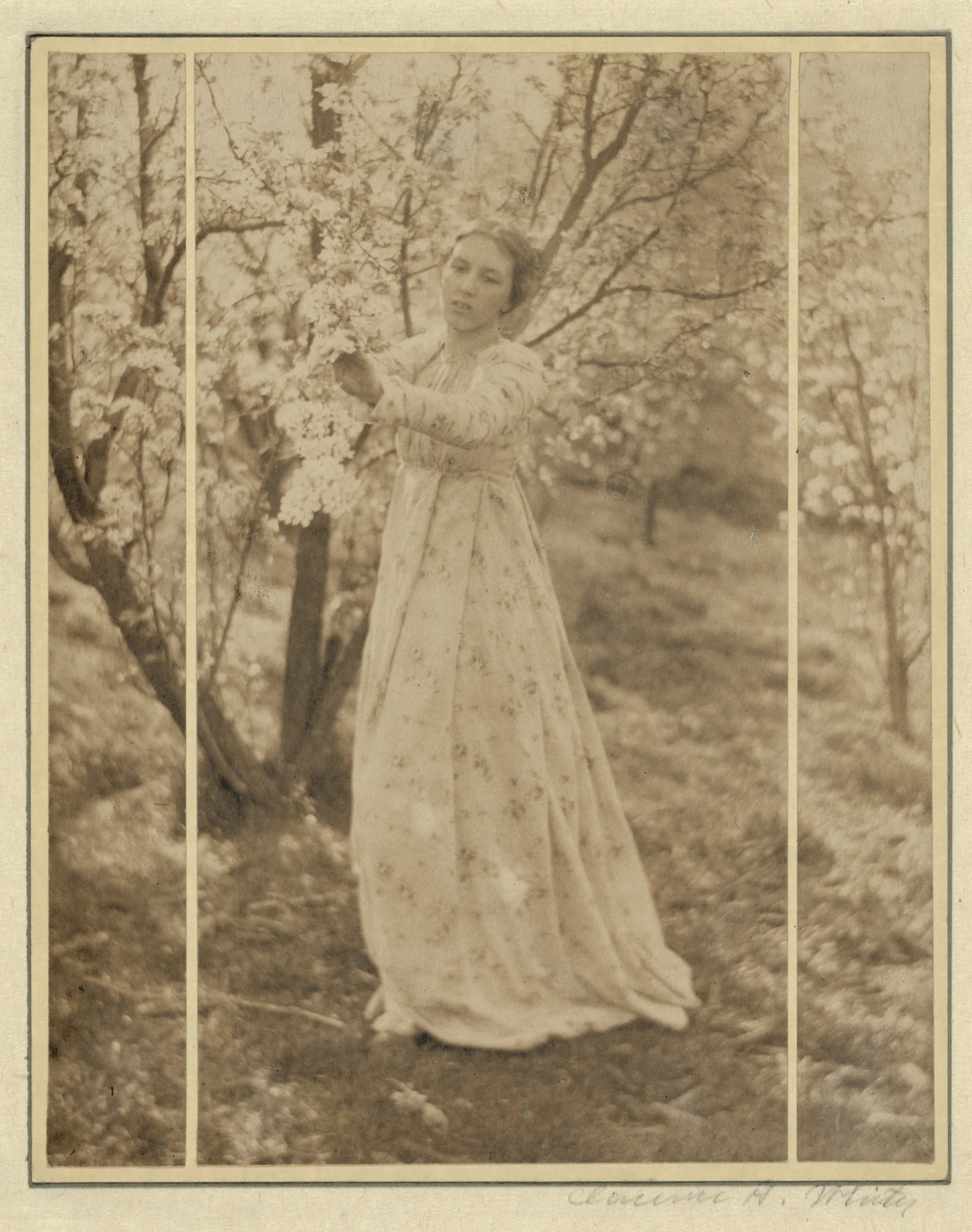 Spring: A Triptych (Letitia Felix) — Clarence H. White