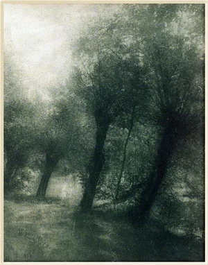 Étude d'arbre — Constant Puyo