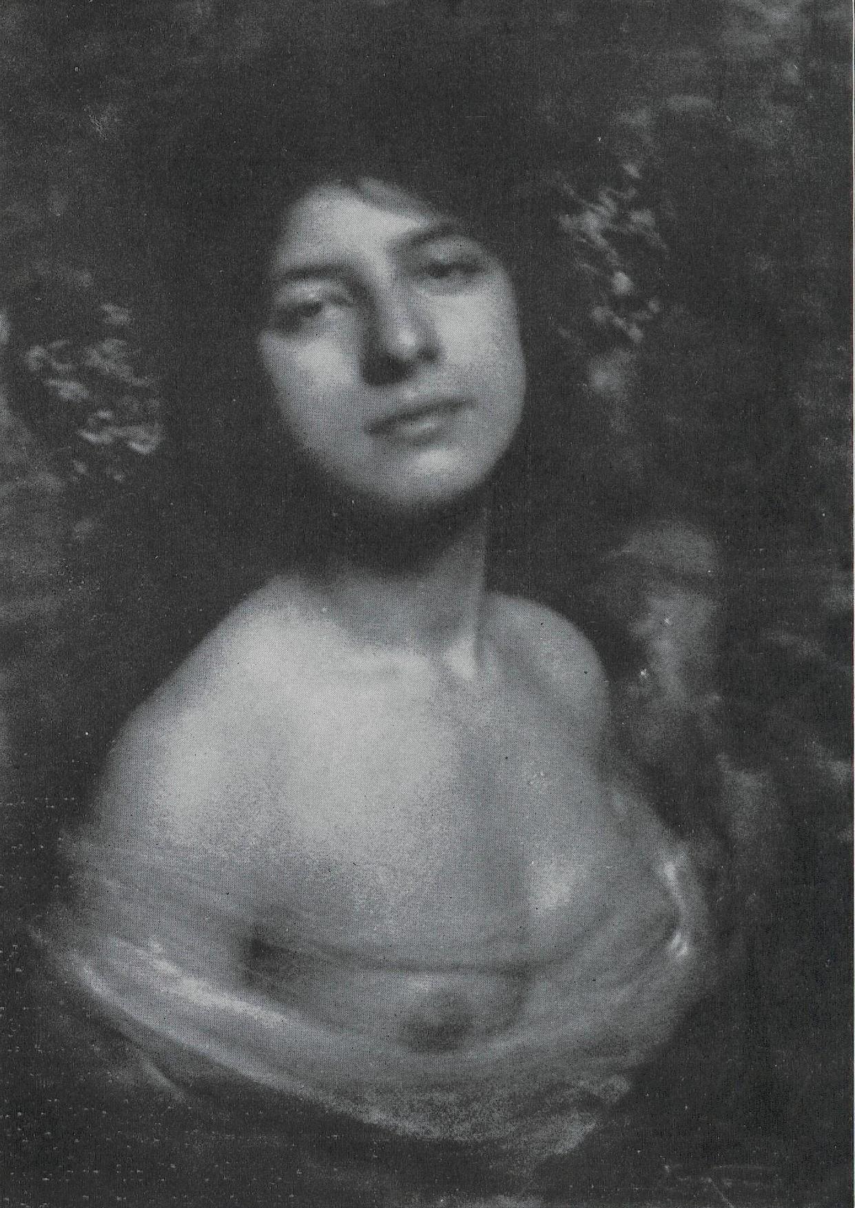 Hortensia — Frank Eugene