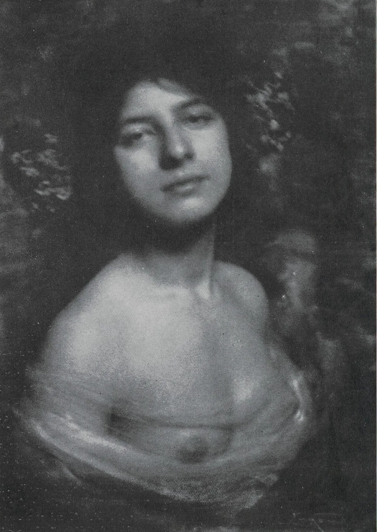 Hortensia — Frank Eugene