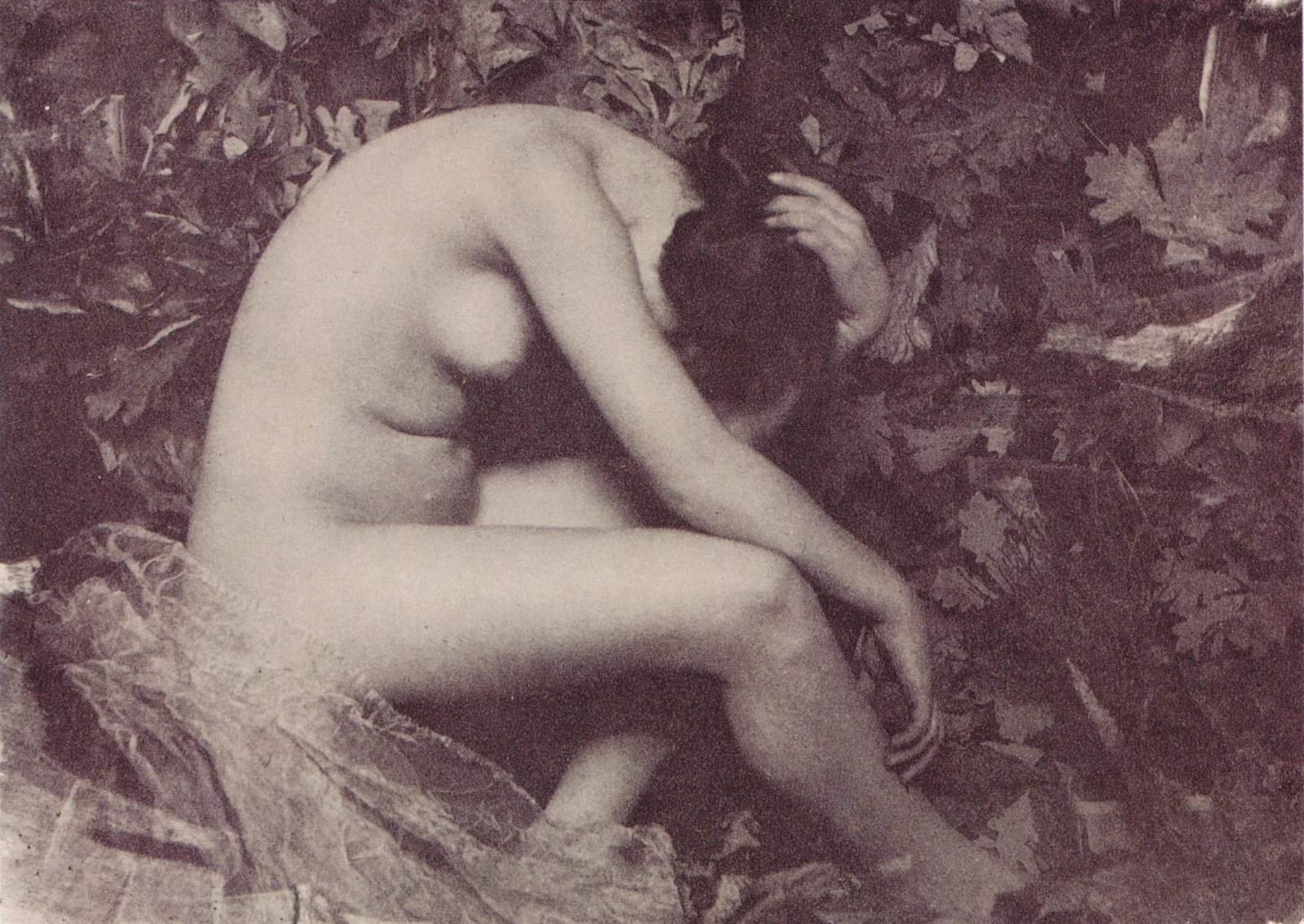 La Cigale — Frank Eugene