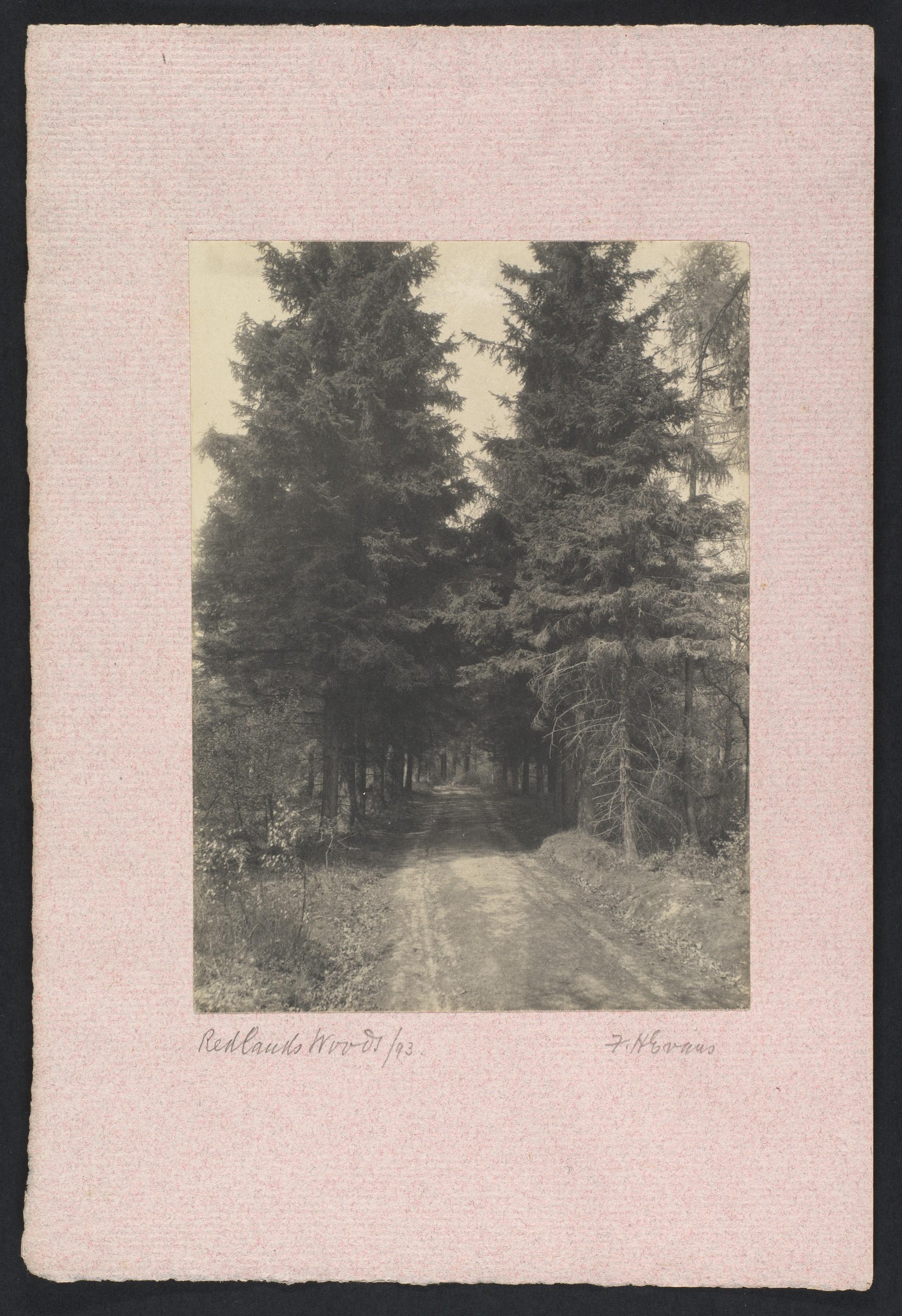 Bois de Redlands — Frederick H. Evans