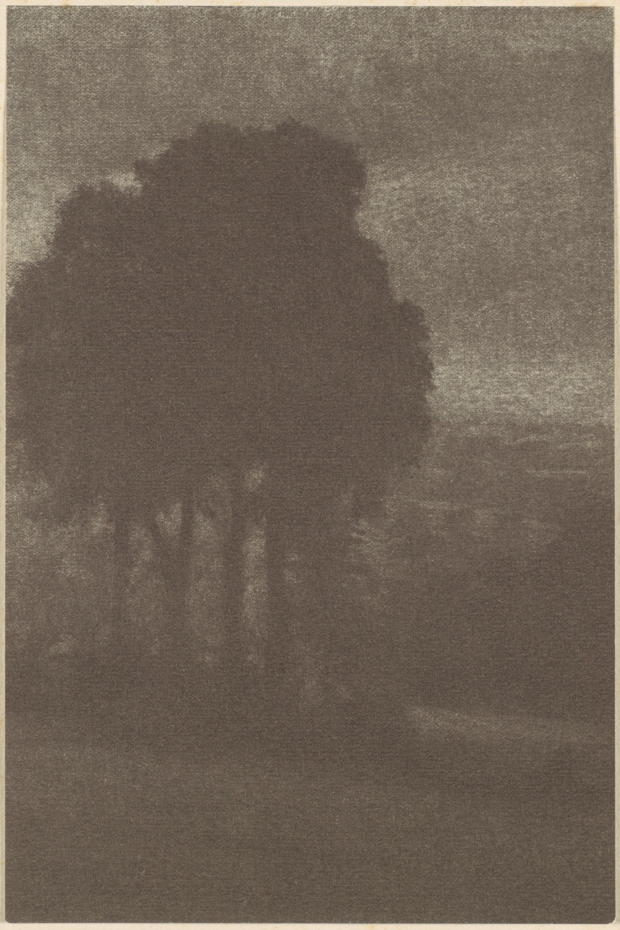 Arbres — Frederick H. Evans