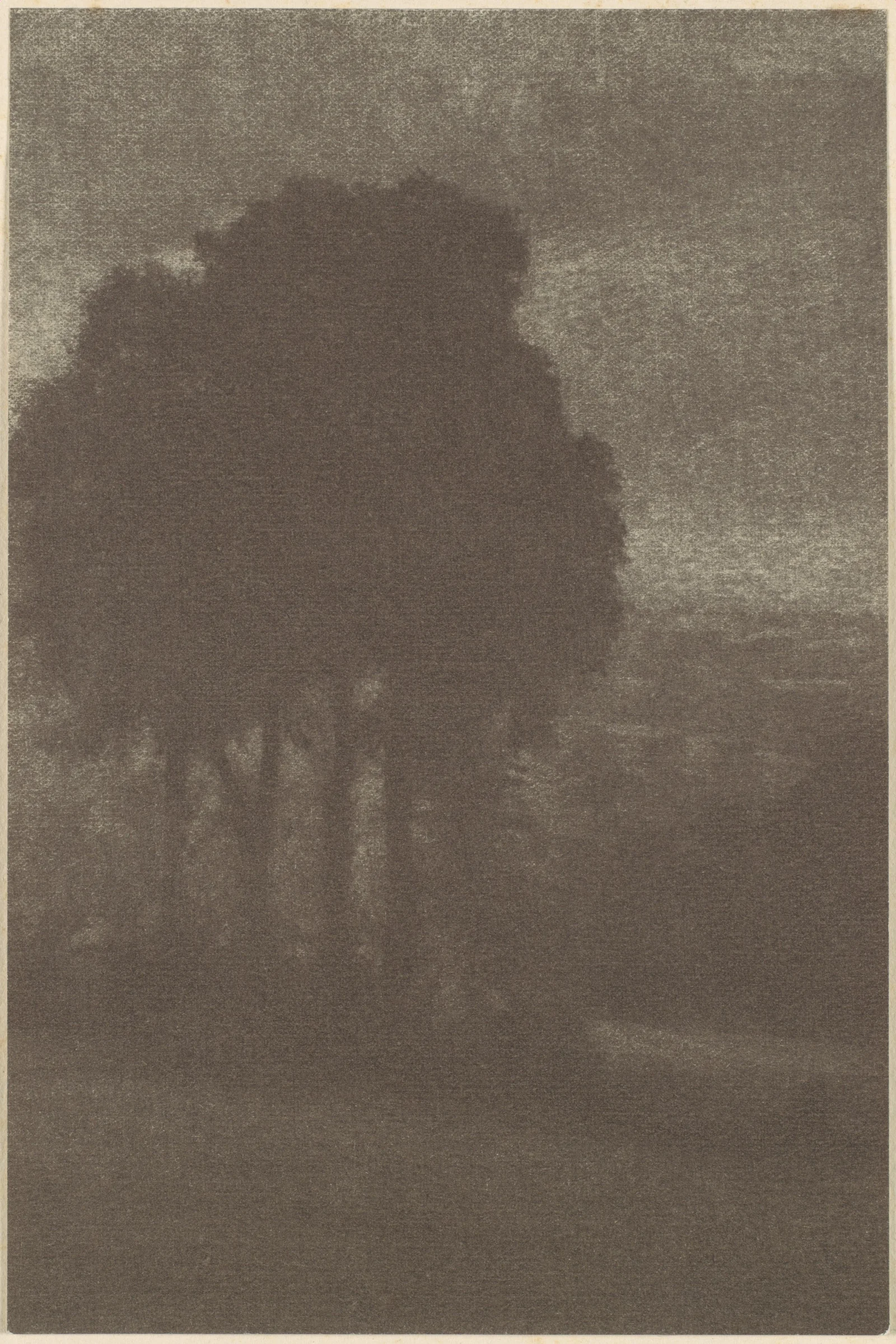 Arbres — Frederick H. Evans