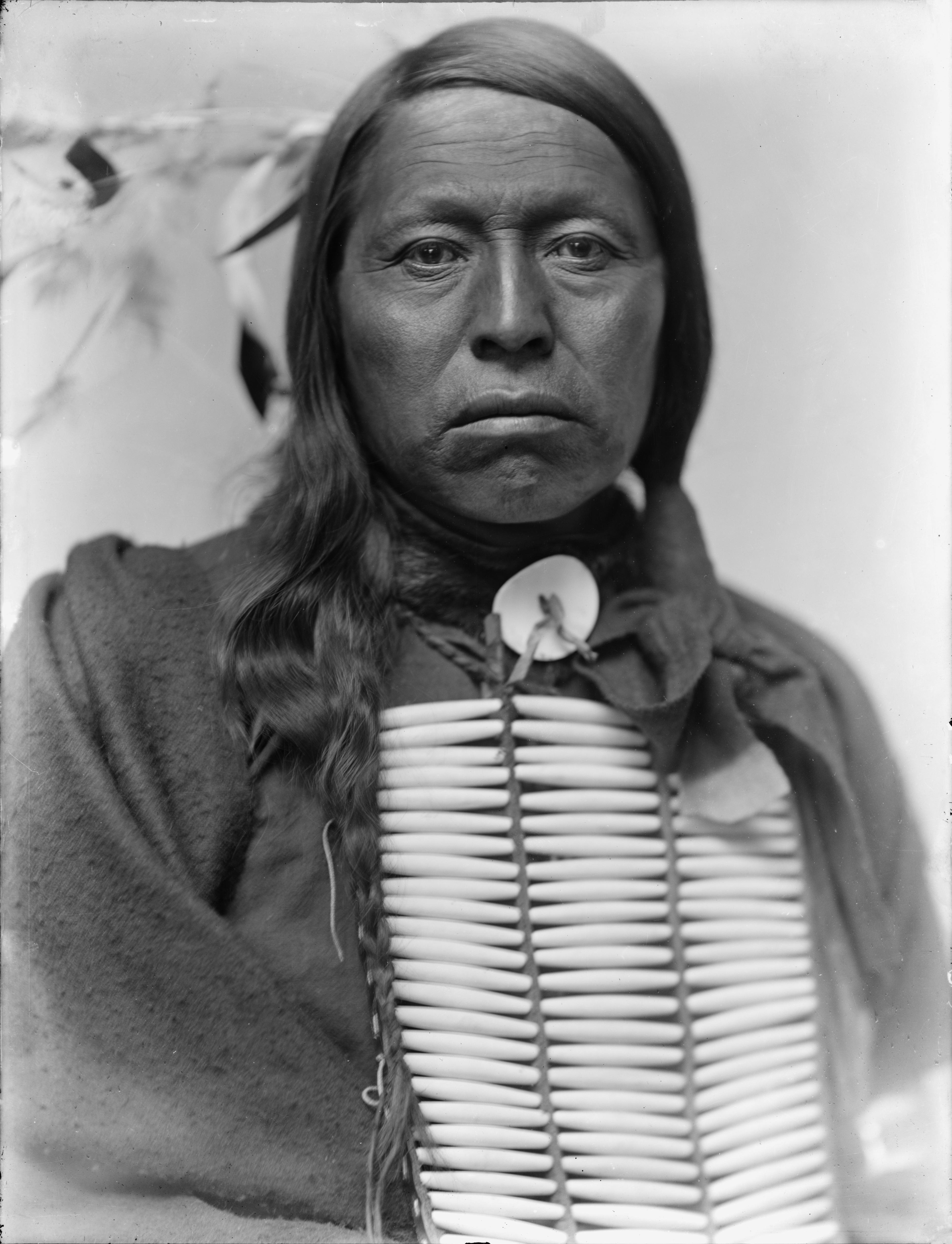Le Chef Flying Hawk — Gertrude Käsebier