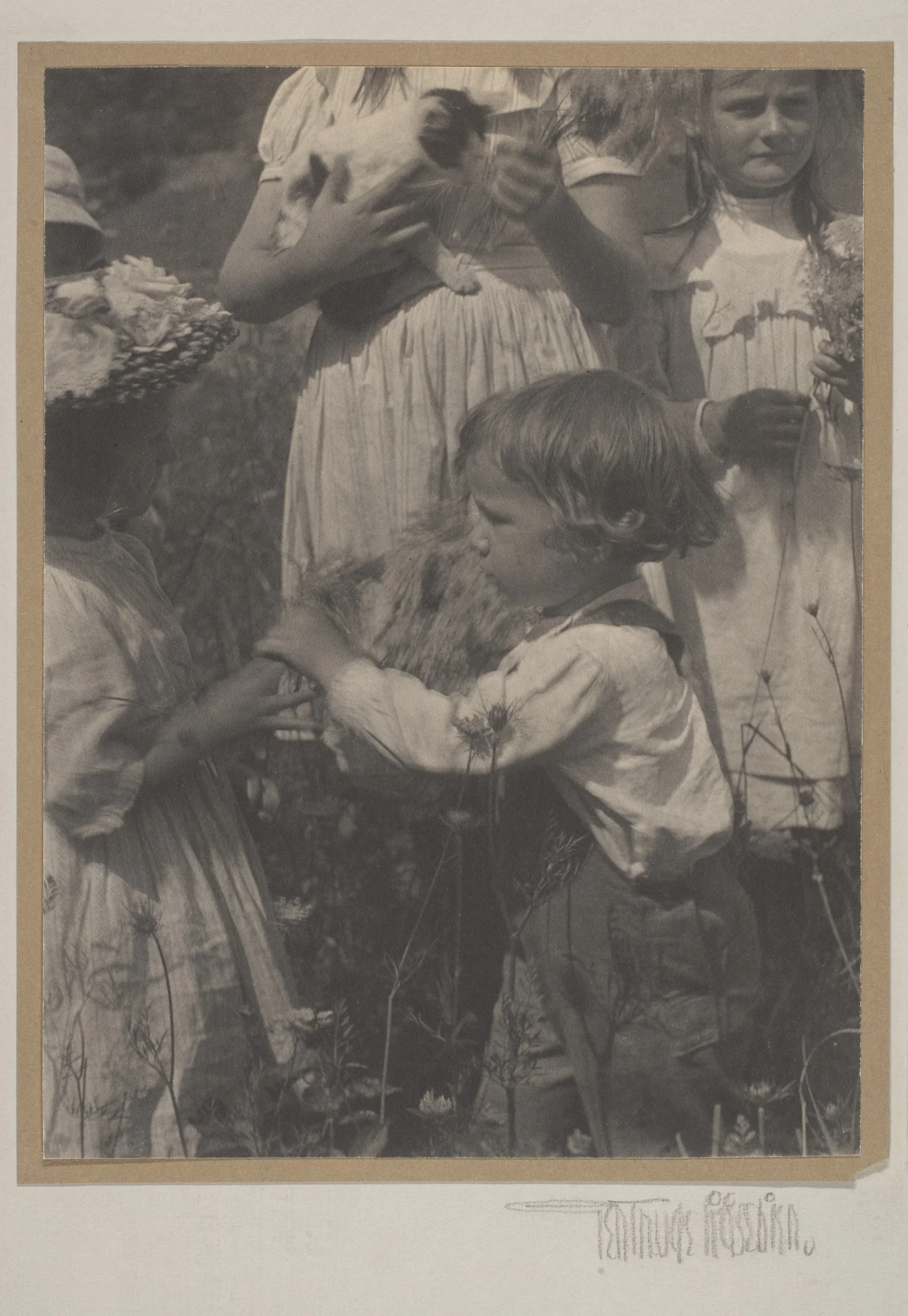 Happy Days — Gertrude Käsebier