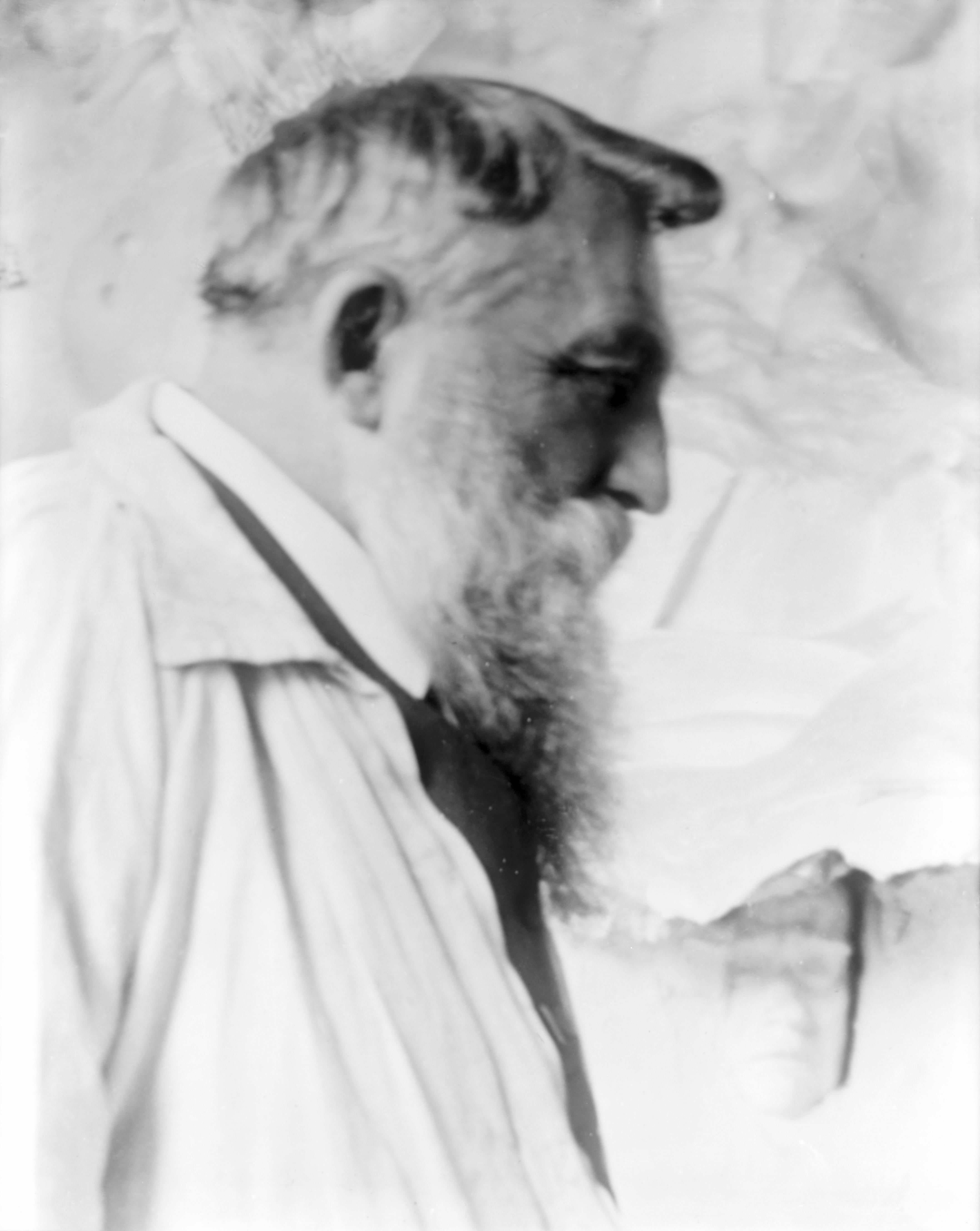 Portrait of Auguste Rodin — Gertrude Käsebier