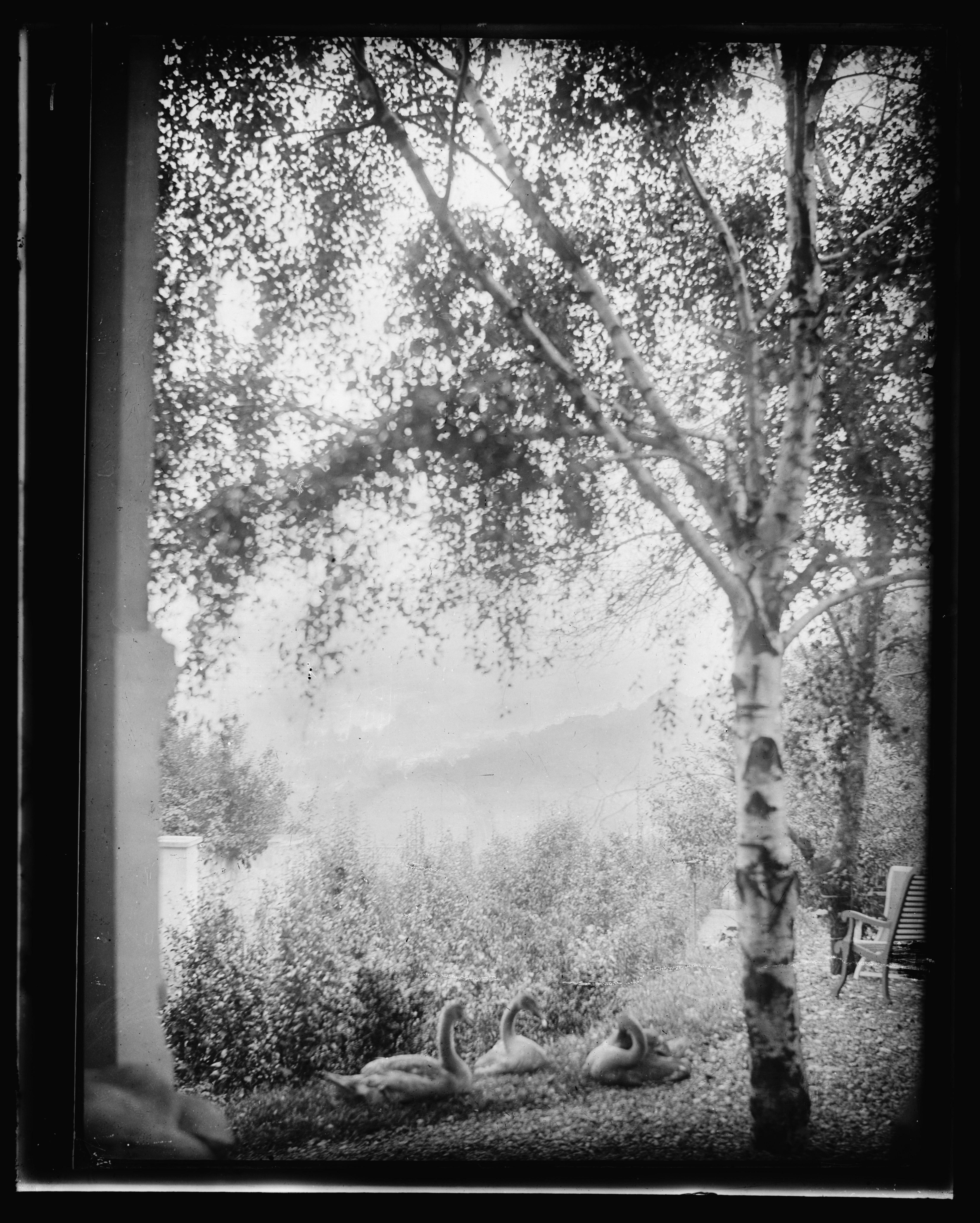 Landscape, Rodin's Garden, Meudon, France — Gertrude Käsebier