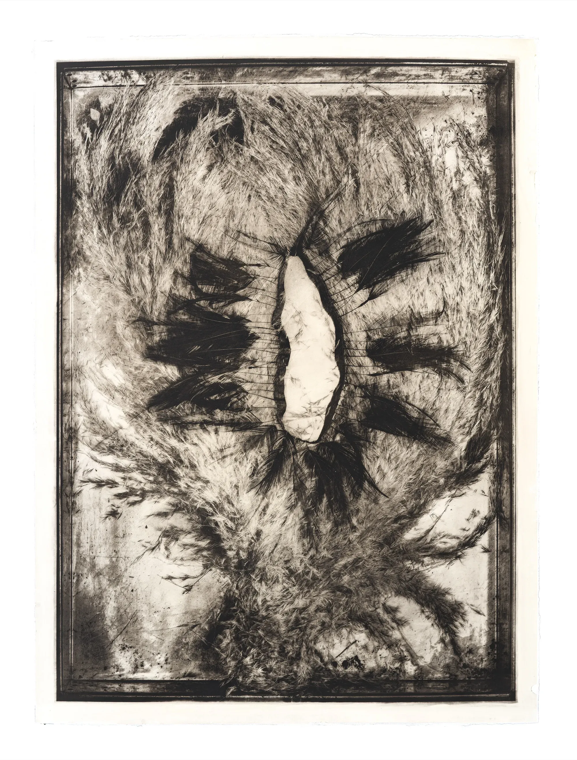 L'origine du monde — Gélatine, noir d'ivoire, résine de pin — Max Ruiz — 133 × 98 cm