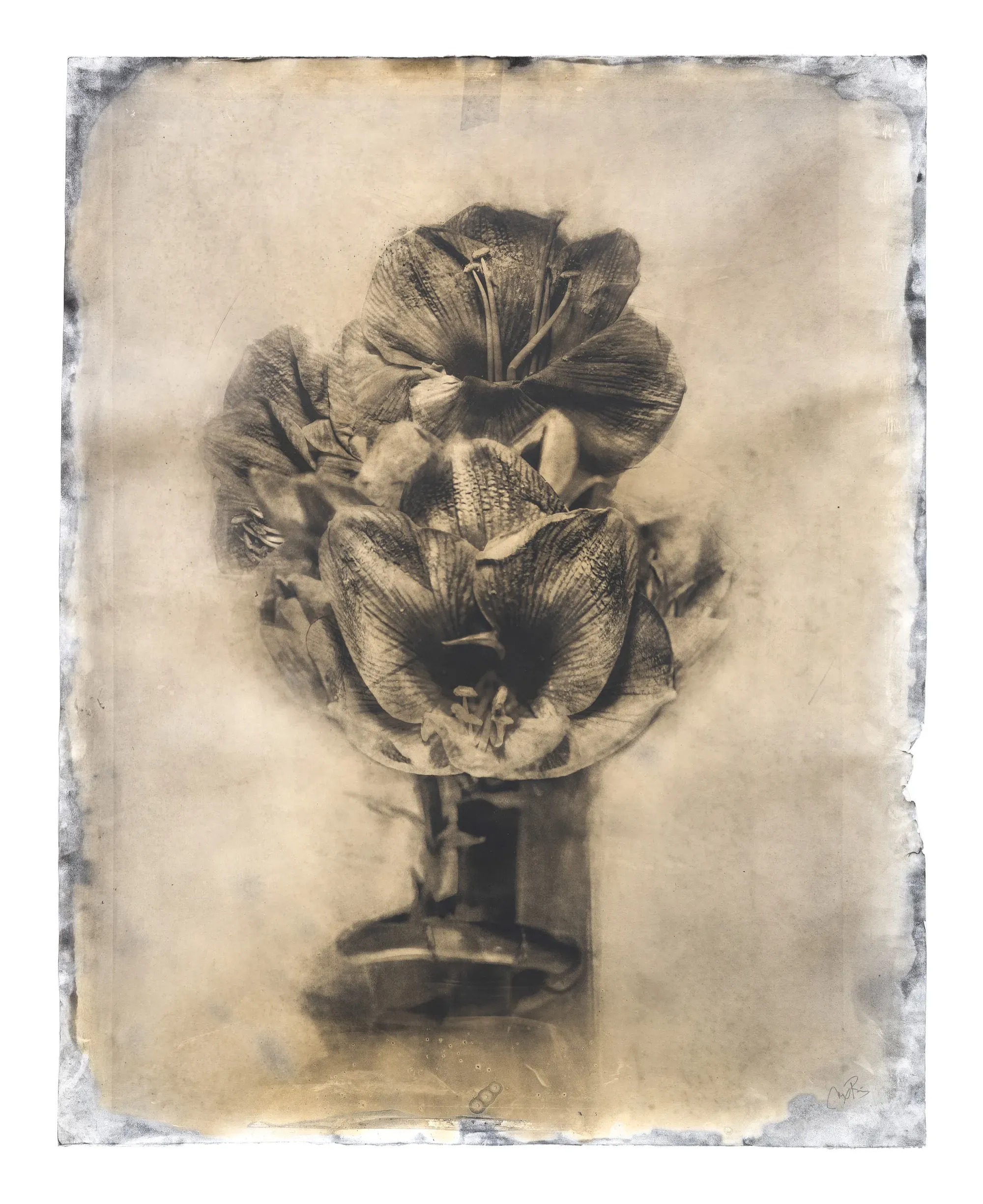 O-Ei Hokusa — Gélatine, noir d'ivoire, résine de pin — Max Ruiz — 140 × 108 cm